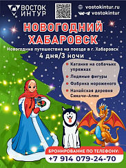 Новогодний Хабаровск!