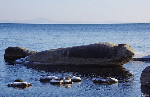 "Здесь встречается тайга с морем", «Жаба и Тюлень», памятник природы